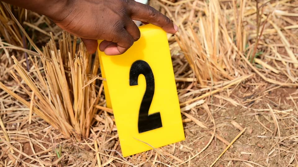 PARTICIPATION DU BTEA AU SEMINAIRE REGIONAL DE FORMATION SUR LES RECHERCHES ET SAUVETAGE (SAR)